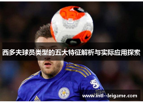 西多夫球员类型的五大特征解析与实际应用探索
