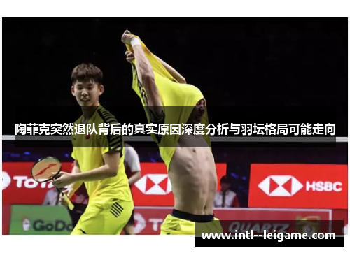陶菲克突然退队背后的真实原因深度分析与羽坛格局可能走向