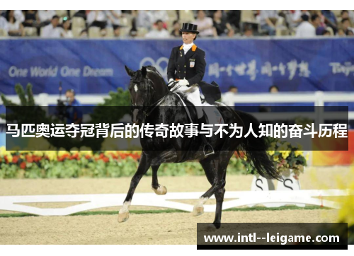 马匹奥运夺冠背后的传奇故事与不为人知的奋斗历程