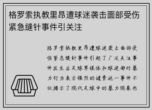 格罗索执教里昂遭球迷袭击面部受伤紧急缝针事件引关注 格罗索执教里昂遭球迷袭击面部受伤紧急缝针事件引关注
